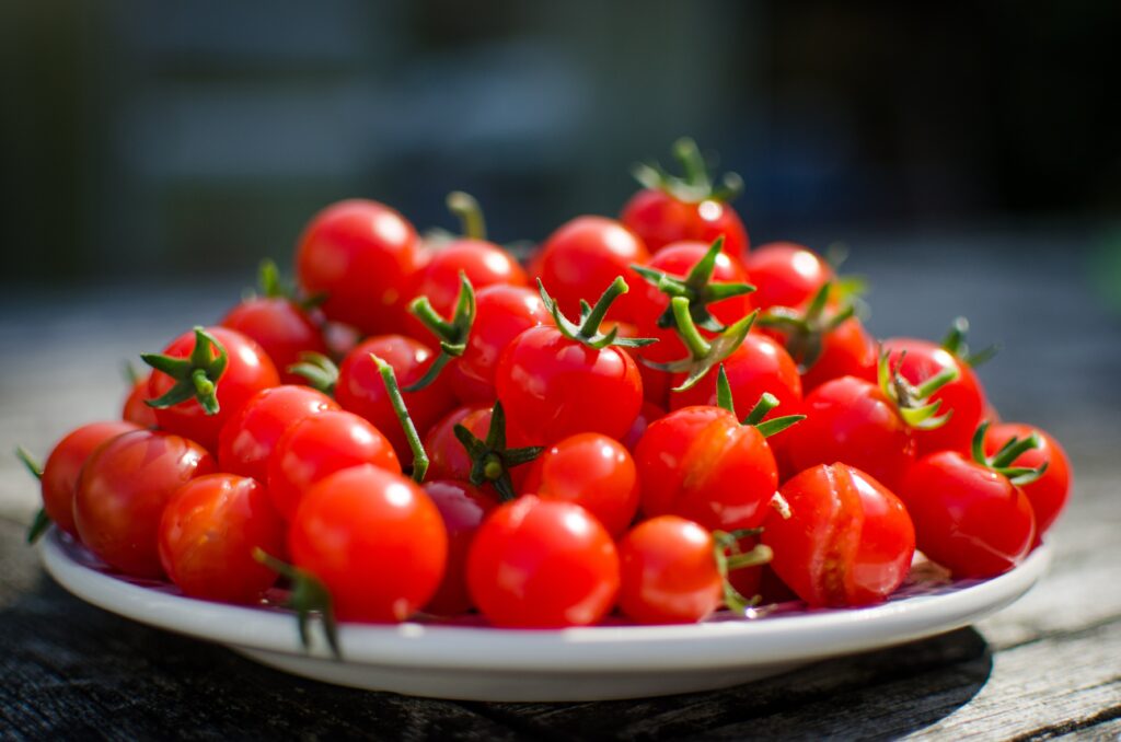 plantar tomate cereja em casa