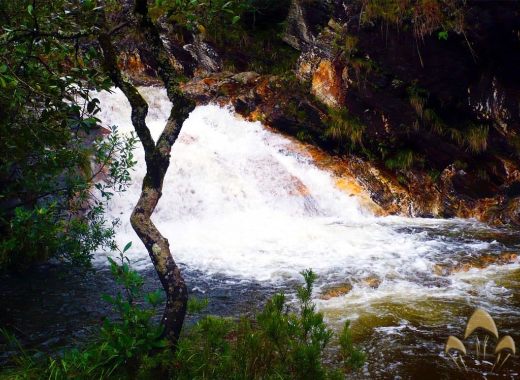 Cachoeira Lambari - Brotando Consciência