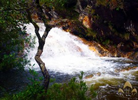 Cachoeira Lambari - Brotando Consciência