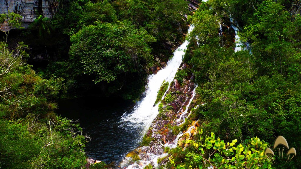 Cachoeira dos Coqueiros, Serra da Canastra MG (Foto: Brotando Consciência)
