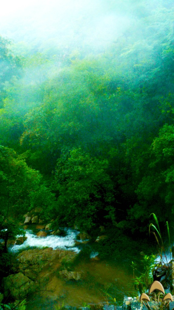 Cachoeira do Ouro, Serra da Canastra MG (Foto: Brotando Consciência)