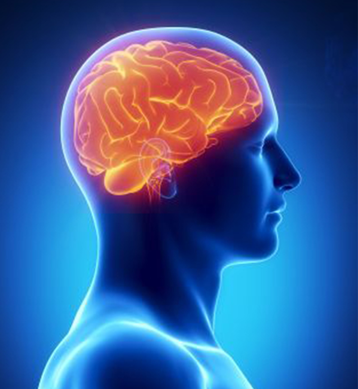 É possível treinar o cérebro para preferir alimentos saudáveis, diz estudo com ressonância magnética cerebral.