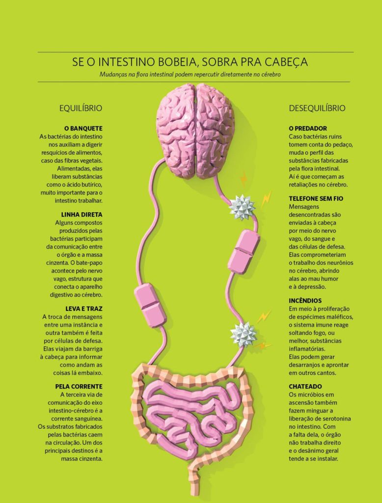 a conexão entre cérebro e intestino; por que a alimentação altera o humor; saúde mental; bem-estar; como a comida influencia nos sentimentos; neurotransmissores e alimentação; bioquímica