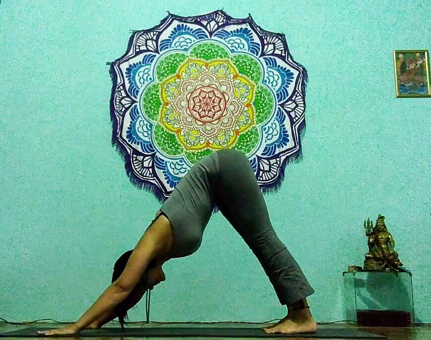 postura de yoga Adho Mukha Svanasana - Cachorro olhando para baixo - exemplo de exercício para o psoas músculo da alma