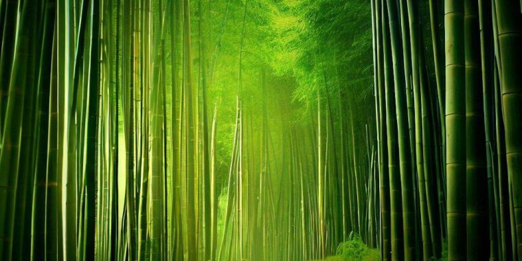 bambu fonte de energia; bambuzal; energia sustentável; fonte de energia ecológica; sustentabilidade energética; biocombustível; etanol; biogás