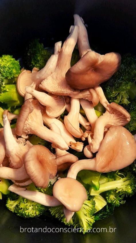 Foto de cogumelos shimeji branco com brócolis; cogumelo ostra; Pleurotus ostreatus; cogumelo comestível; receita com cogumelo; cogumelo branco; shimeji foto