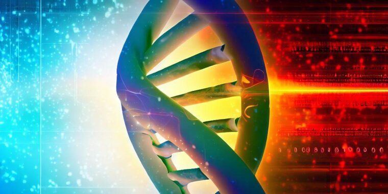 genes; genética; câncer; envelhecimento; gene que causa câncer tem papel no envelhecimento; genética câncer e velhice; DNA