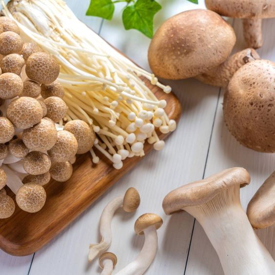 tipos de cogumelos comestíveis; cogumelos comestíveis comuns; cogumelo enoki; portobello; shitake; eringy