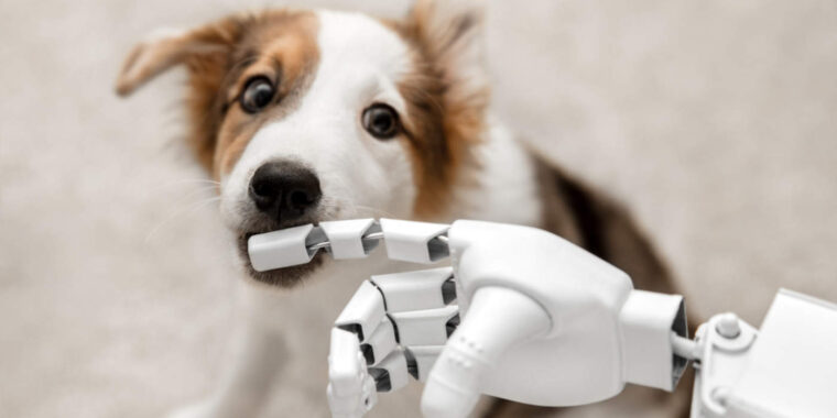 inteligência artificial; animais e IA; conversar com animais usando IA; ciência; tecnologia; projeto Doutor Dolittle; Inteligência artificial para falar com animais; pesquisa quer tentar usa IA para conversar com animais cãe, gatos, aves
