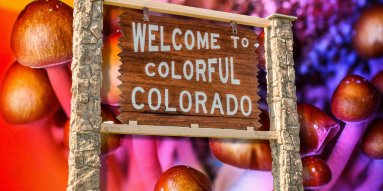 Colorado legalizou cogumelos mágicos; legalização de cogumelos mágicos nos EUA; psilocibina e cogumelos mágicos legal nos estados unidos; psicodélicos; terapia psicodélica