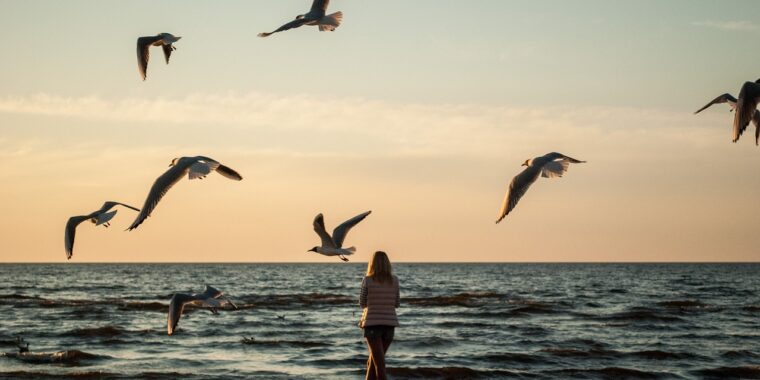 quando a solidão faz bem; solidão consciente; solitude; benefícios da solidão; benefícios para a saúde de ser antissocial; ser antissocial faz bem; novas pesquisas em psicologia sobre sociabilidade