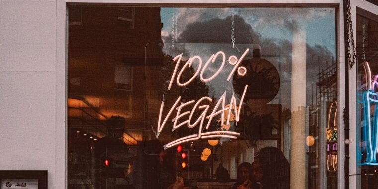 Dia mundial do vegetarianismo; dieta vegana; vegetarianismo conceito; história do vegetarianismo; o que é vegetarianismo; tipos de vegetarianismo