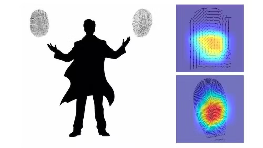 IA descobre nova maneira de comparar impressões digitais que parecem diferentes, mas, na verdade, pertencem a dedos diferentes da mesma pessoa. A tecnologia se baseia principalmente na curvatura dos redemoinhos no centro da impressão digital, conforme mostrado pelo mapa de calor — Foto: Gabe Guo, silhueta gerada via Midjourney