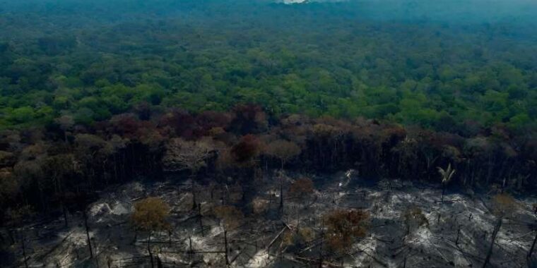 amazônia; desmatamento na amazônia; árvores queimadas floresta amazônica; queimadas ilegais na floresta amazônica; Manaquiri queimada ilegal na amazônia