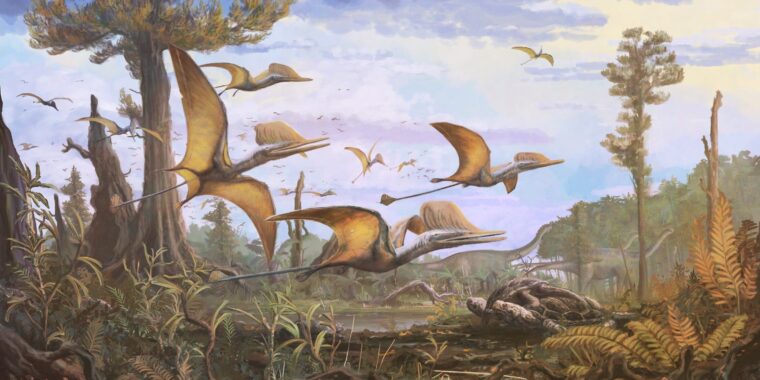 ilustração dinossauro jurassico; pterossauro escocia descoberta; ilustracao Ceoptera evansae; nova especie de pterossauro