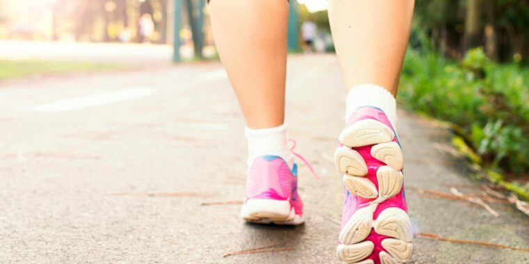 caminhada; quantos passos por dia preciso para manter a saúde do coração segundo estudos; 10 mil passos por dia ajudam a manter a saúde cardiovascular