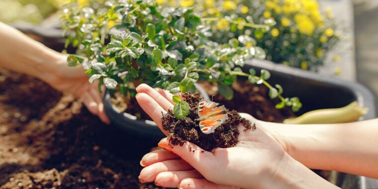 Hortiterapia o que é